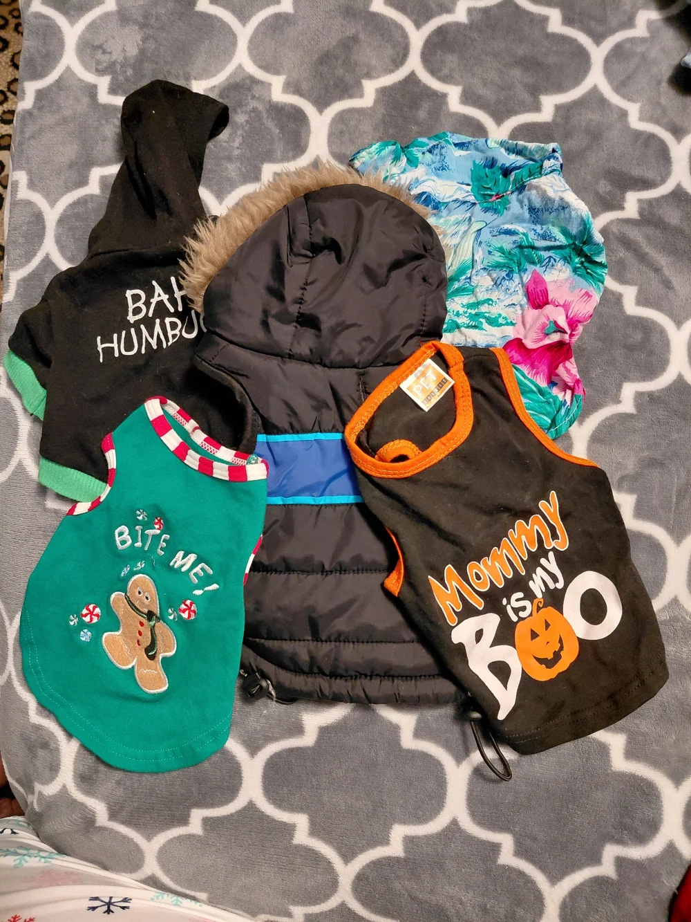 Set Of 5 Doggie Super Cute Clothing